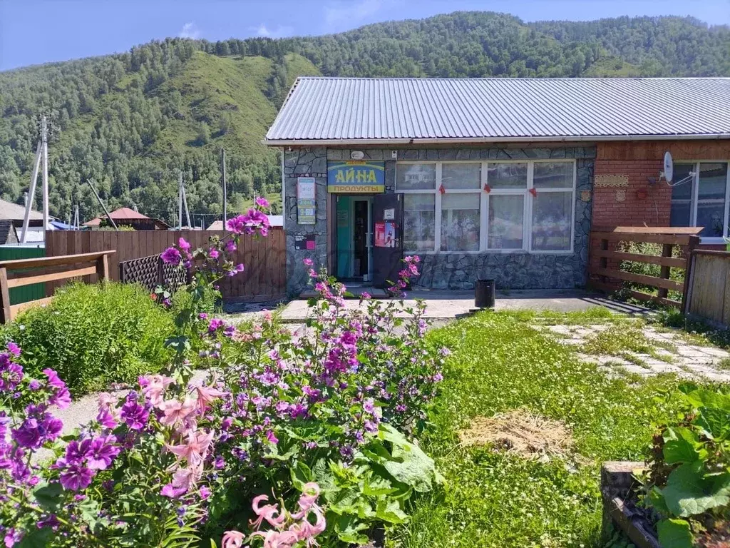 Помещение свободного назначения в Алтай, Шебалинский район, с. Черга ... - Фото 0