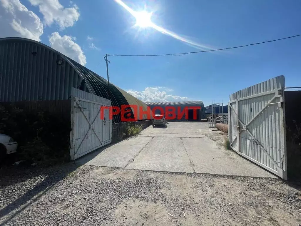 Помещение свободного назначения в Новосибирская область, Новосибирский ... - Фото 0