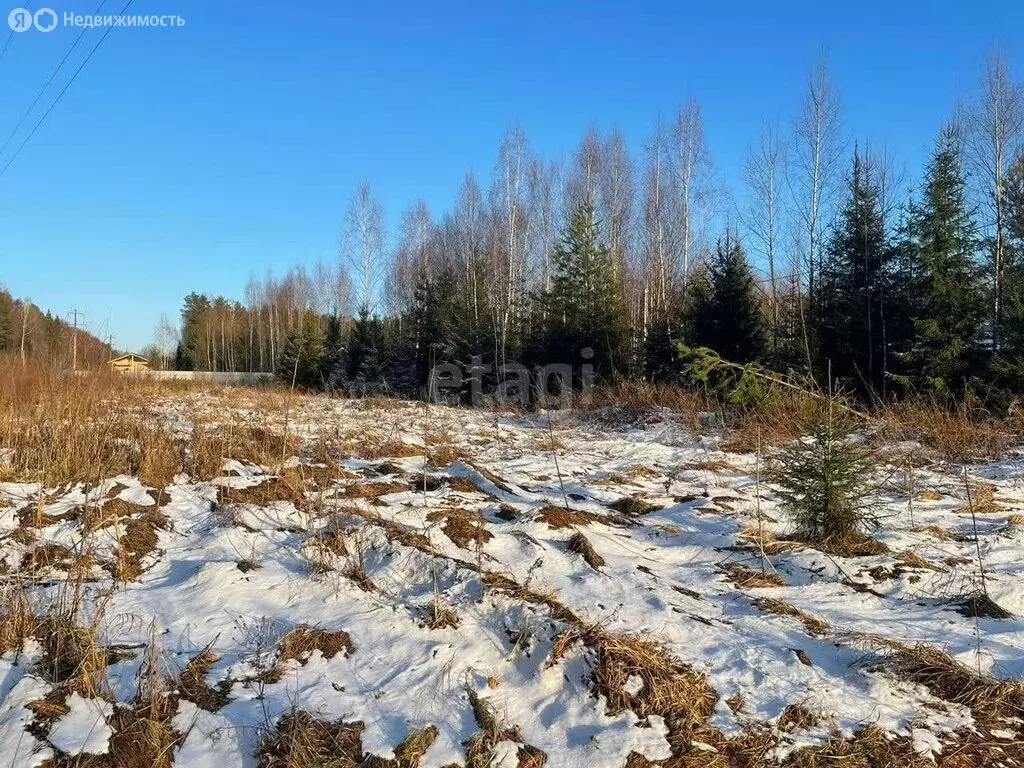 Участок в Панинский район, Октябрьское сельское поселение (70 м) - Фото 1