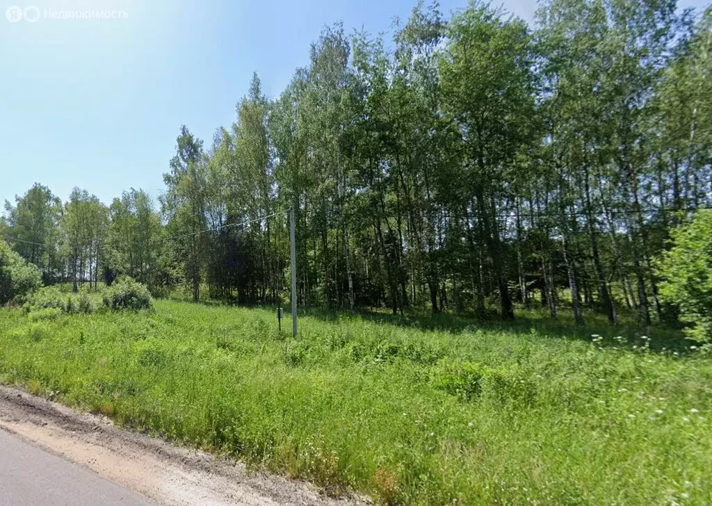 Участок в Московская область, муниципальный округ Чехов, деревня ... - Фото 2