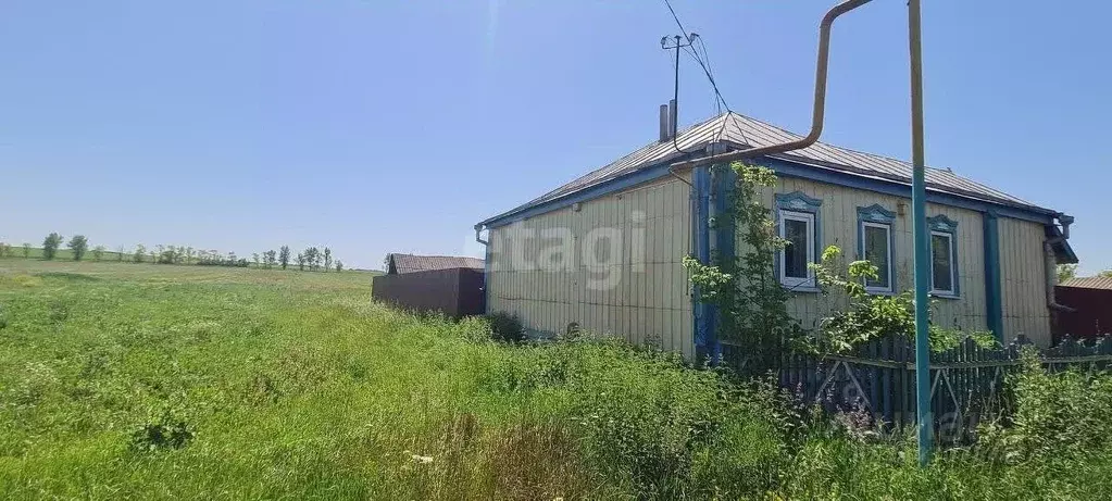 Дом в Белгородская область, Новооскольский муниципальный округ, с. ... - Фото 1