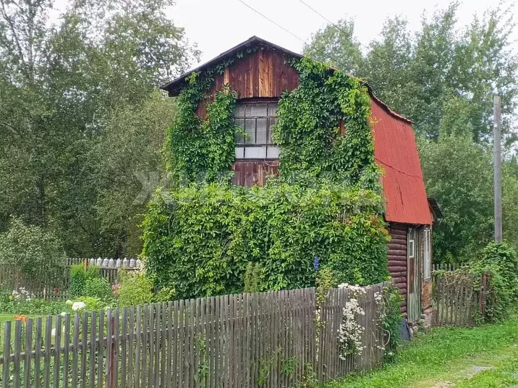 Дом в Тогучинский район, СТ Биолог (32 м) - Фото 0