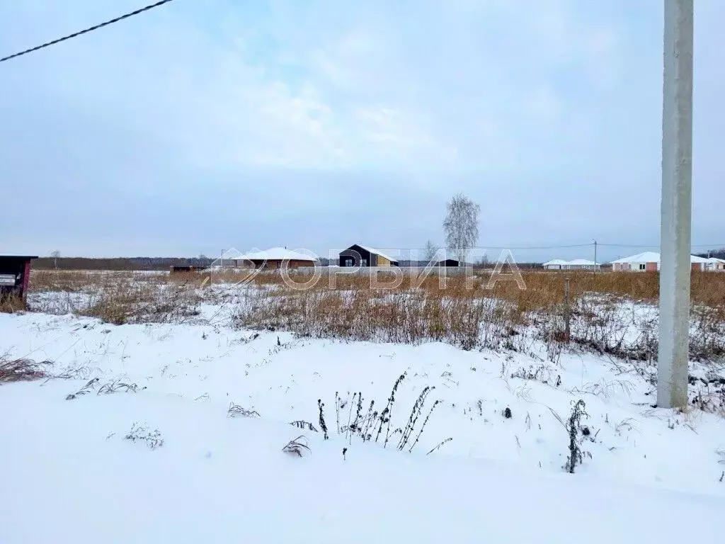 Участок в Тюменская область, Тюменский муниципальный округ, с. Каменка ... - Фото 1