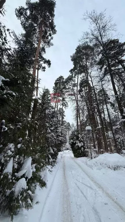 Участок в Московская область, Красногорск городской округ, с. ... - Фото 2