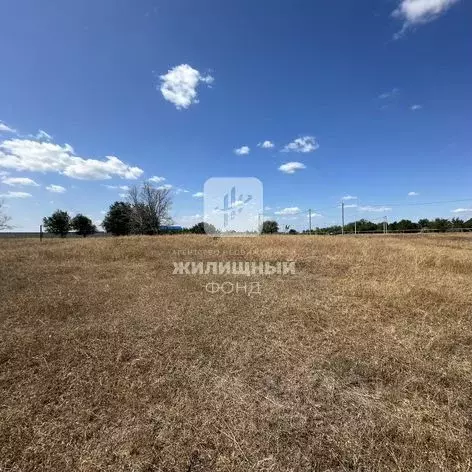 Участок в Саратовская область, Энгельсский район, Красноярское ... - Фото 2