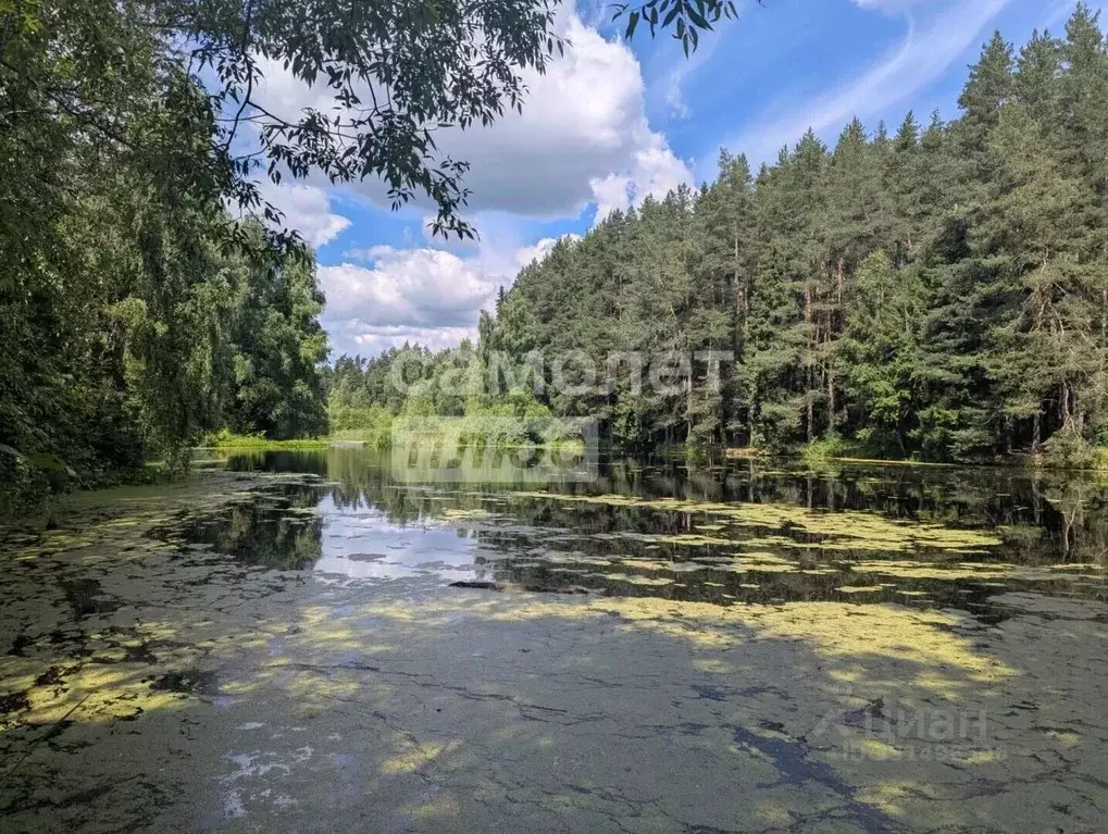 Участок в Московская область, Солнечногорск городской округ, пос. ... - Фото 2