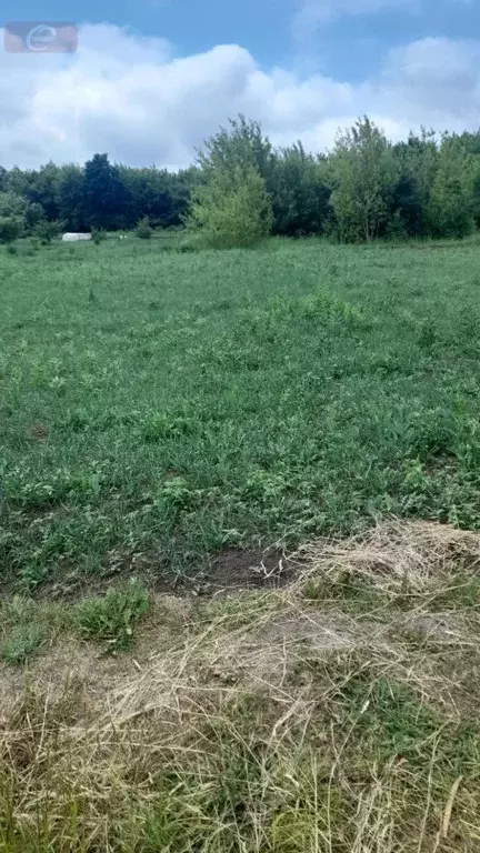 Дом в Воронежская область, Новоусманский район, Рождественско-Хавское ... - Фото 0