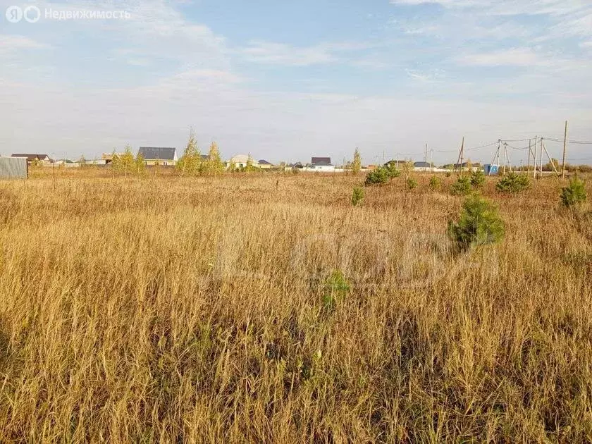 Участок в Тюменский район, село Червишево (9.8 м) - Фото 1