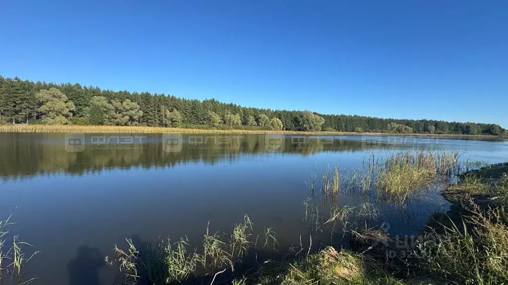 Участок в Татарстан, Лаишевский район, Нармонское с/пос, Тетеево Луч ... - Фото 2