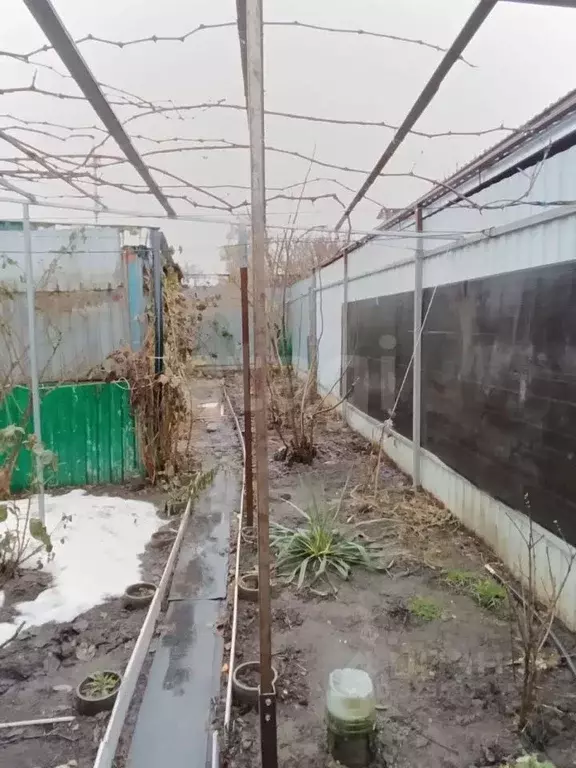 Дом в Ставропольский край, Михайловск Шпаковский район, Трактовая ул., ... - Фото 2