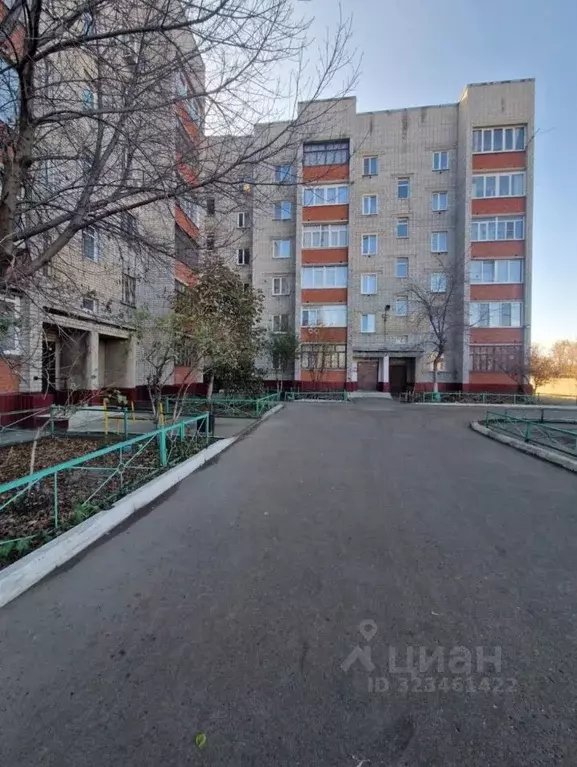 3-к кв. Алтайский край, Рубцовск Комсомольская ул., 234 (58.5 м) - Фото 2