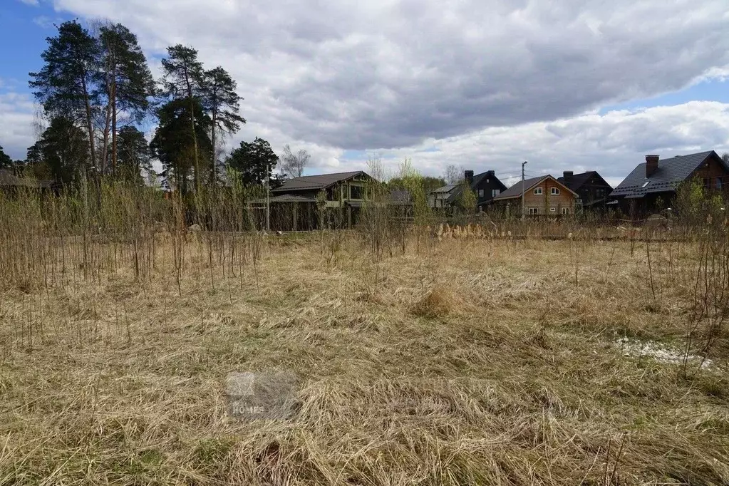 Участок в Московская область, Балашиха Салтыковка мкр, ул. Лесные ... - Фото 2