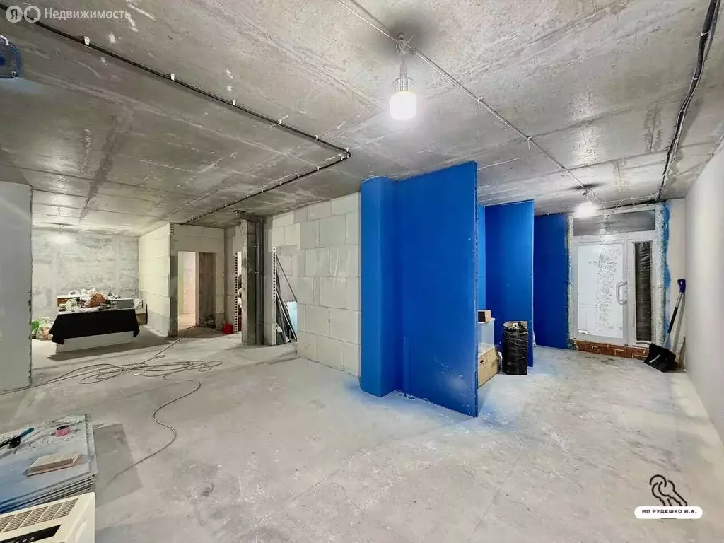 Помещение свободного назначения (218.5 м) - Фото 1