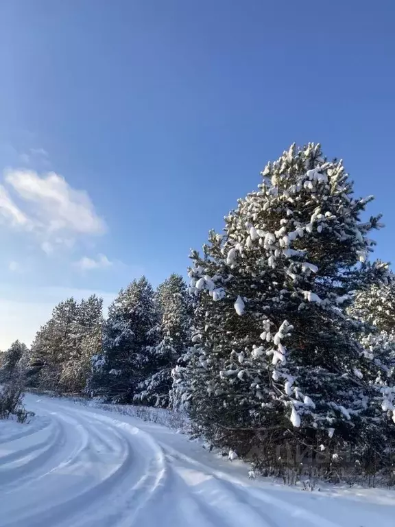 Участок в Нижегородская область, Бор муниципальный округ, с. ... - Фото 1