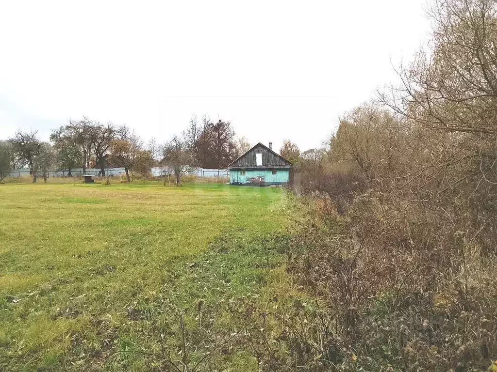 Участок в Калужская область, Дзержинский муниципальный округ, Дворцы ... - Фото 2