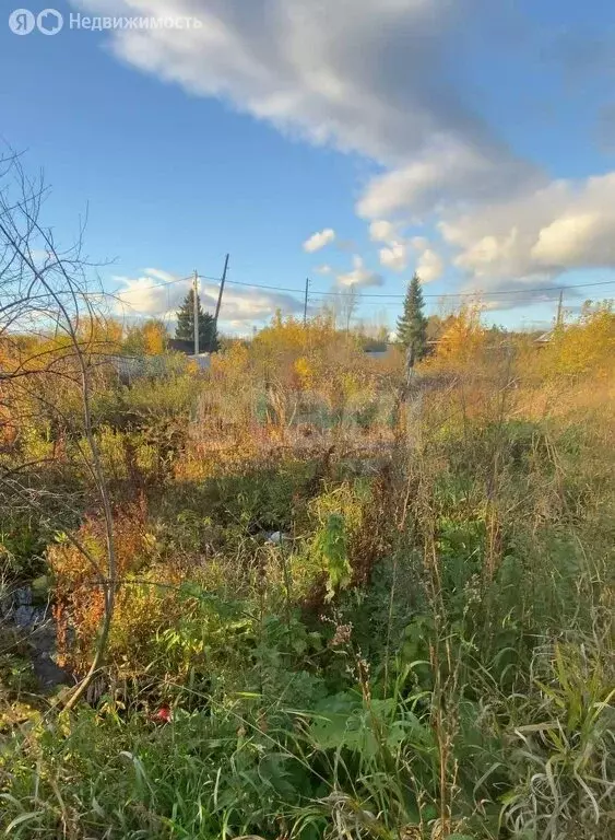 Участок в Миасс, Лесопильная улица (8.5 м) - Фото 2