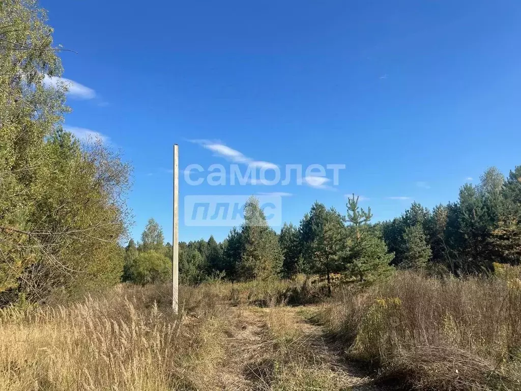 Участок в Владимирская область, Судогодский район, д. Аксеново  (15.0 ... - Фото 1