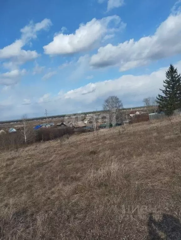 Участок в Курганская область, Шадринск Подгорный пер. (6.7 сот.) - Фото 2