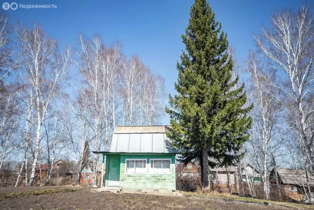 Дом в Совхозный сельсовет, СНТ Вега-1 (12 м) - Фото 0