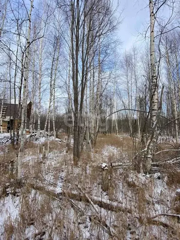 Участок в Ханты-Мансийский АО, Ханты-Мансийск Дружба СОТ,  (5.0 сот.) - Фото 1