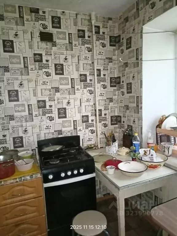 3-к кв. Пермский край, Лысьва ул. Чапаева, 16 (59.1 м) - Фото 1