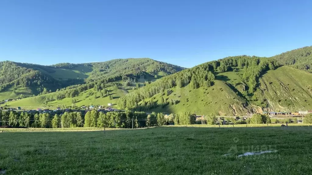 Участок в Алтай, Майминский район, с. Бирюля ул. Таркольская (7.4 ... - Фото 1