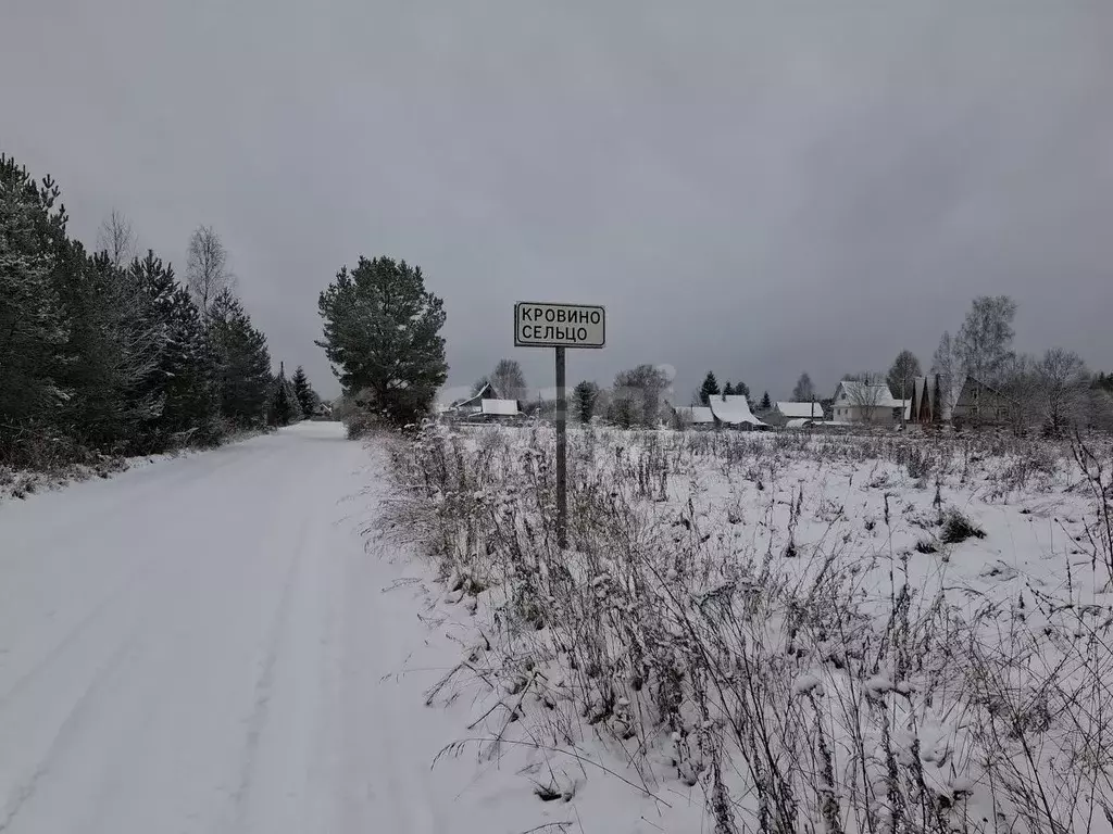 Участок в Ленинградская область, Киришский район, Будогощское ... - Фото 1