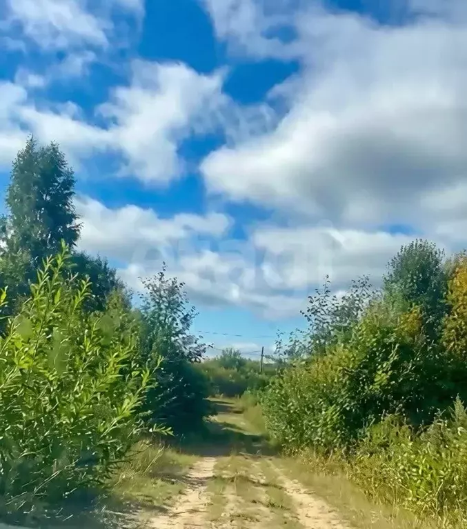 Участок в Вологодская область, с. Устье  (25.0 сот.) - Фото 1