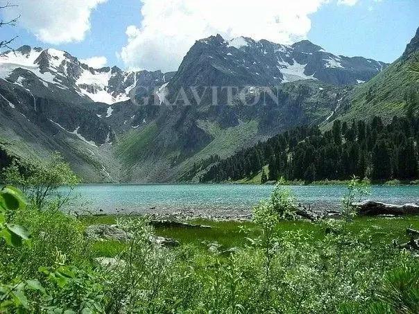 Участок в Алтай, Усть-Коксинский район, с. Мульта Школьная ул. (20.0 ... - Фото 2