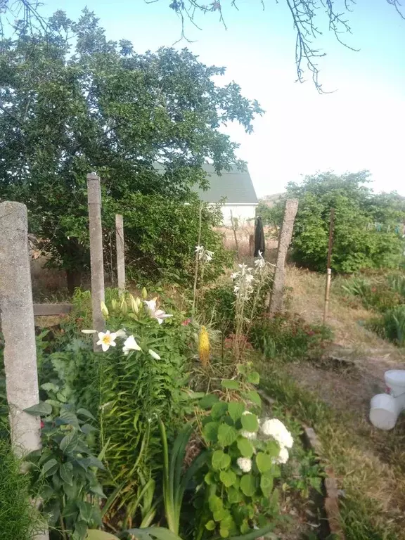 Участок в Крым, Феодосия муниципальный округ, с. Южное ул. ... - Фото 2