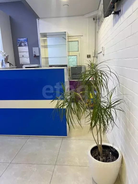 Помещение свободного назначения в Ямало-Ненецкий АО, Новый Уренгой ... - Фото 2