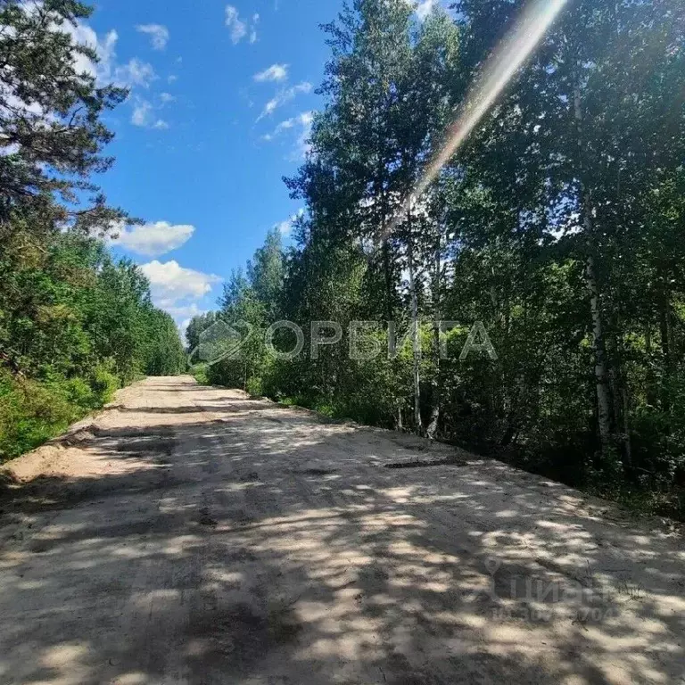 Участок в Тюменская область, Нижнетавдинский район, д. Новопокровка ... - Фото 0