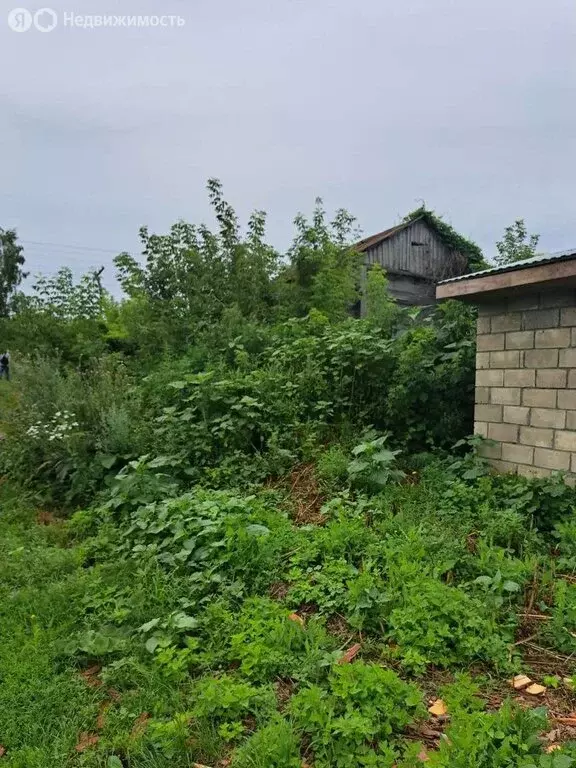 Дом в Новодевичье, село Новодевичье, Ленинградская улица, 58 (35 м) - Фото 0