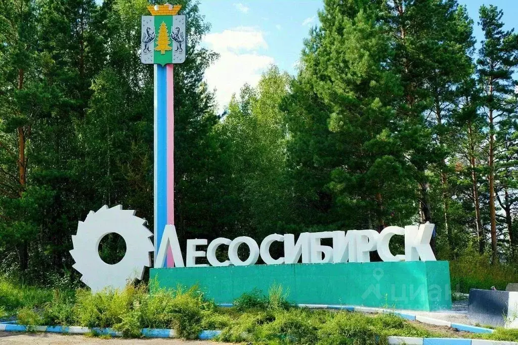 Участок в Красноярский край, Лесосибирск Березовый пер., 38А (13.0 ... - Фото 0