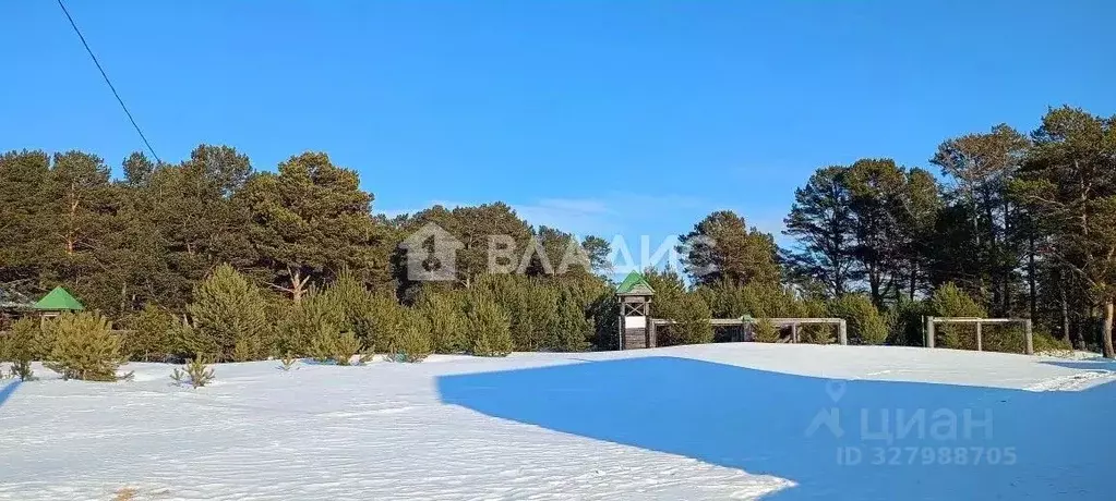 Участок в Бурятия, Прибайкальский район, с. Гремячинск, Лесной мкр  ... - Фото 2