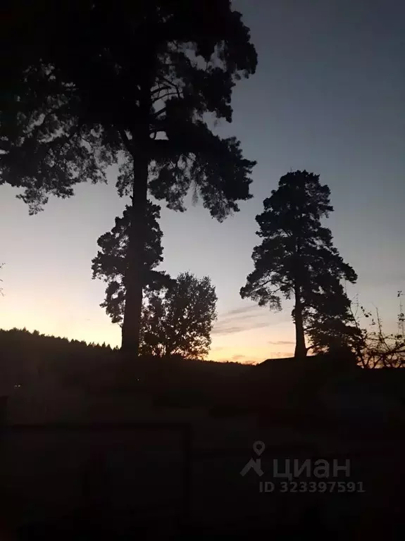 Участок в Москва д. Изварино, 21 (6.1 сот.) - Фото 2