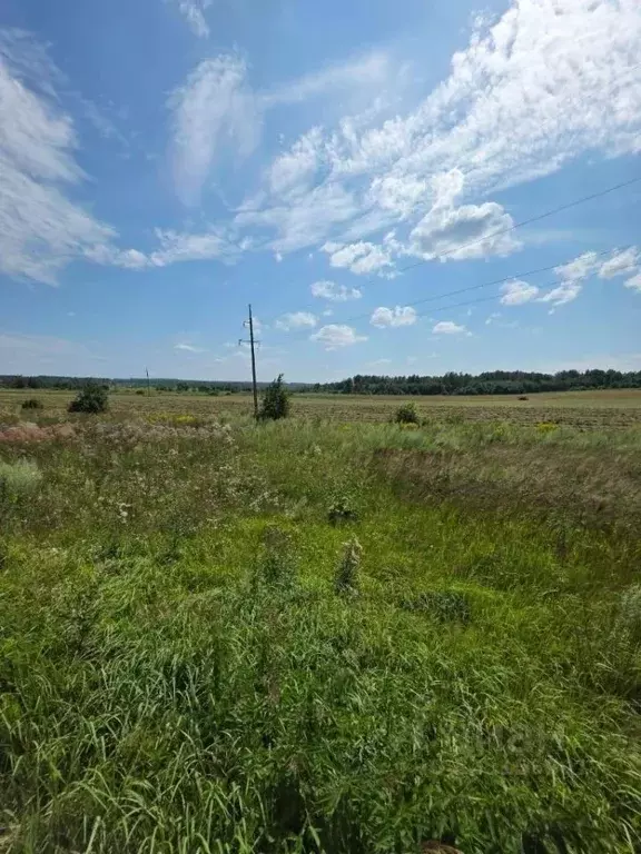 Участок в Смоленская область, Дорогобужский муниципальный округ, ... - Фото 1