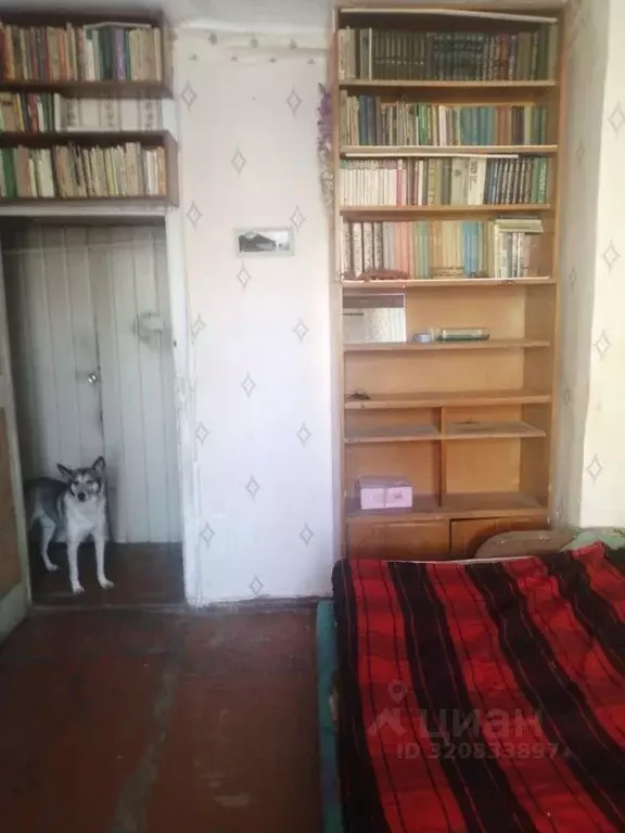 Комната Новосибирская область, Новосибирск просп. Дзержинского, 2А ... - Фото 1