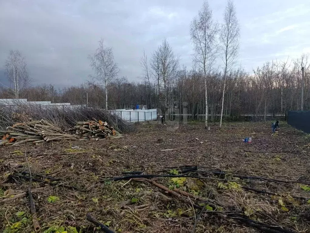 Участок в Московская область, Дмитровский муниципальный округ, ... - Фото 2