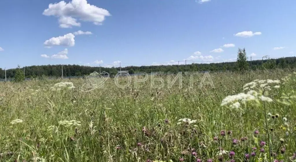 Участок в Тюменская область, Тюменский район, с. Кулига  (11.0 сот.) - Фото 1