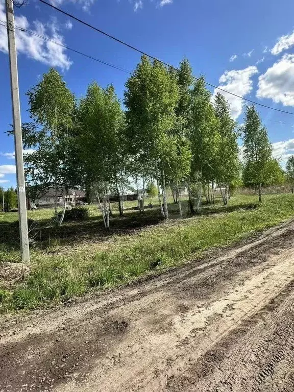 Участок в Новосибирская область, Новосибирский район, с. Верх-Тула ул. ... - Фото 1