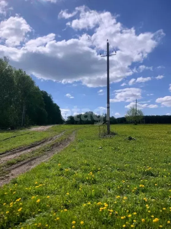 Участок в Башкортостан, Иглинский район, с. Ивано-Казанка  (500.0 ... - Фото 1