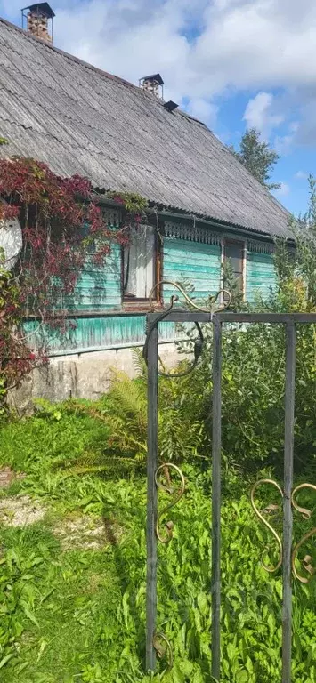 Дом в Псковская область, Остров ул. 8 Марта, 40 (80 м) - Фото 1