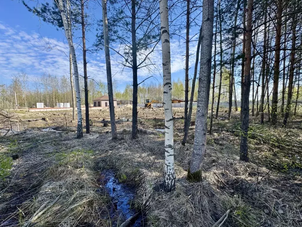 Участок в Московская область, Ликино-Дулево Орехово-Зуевский городской ... - Фото 2