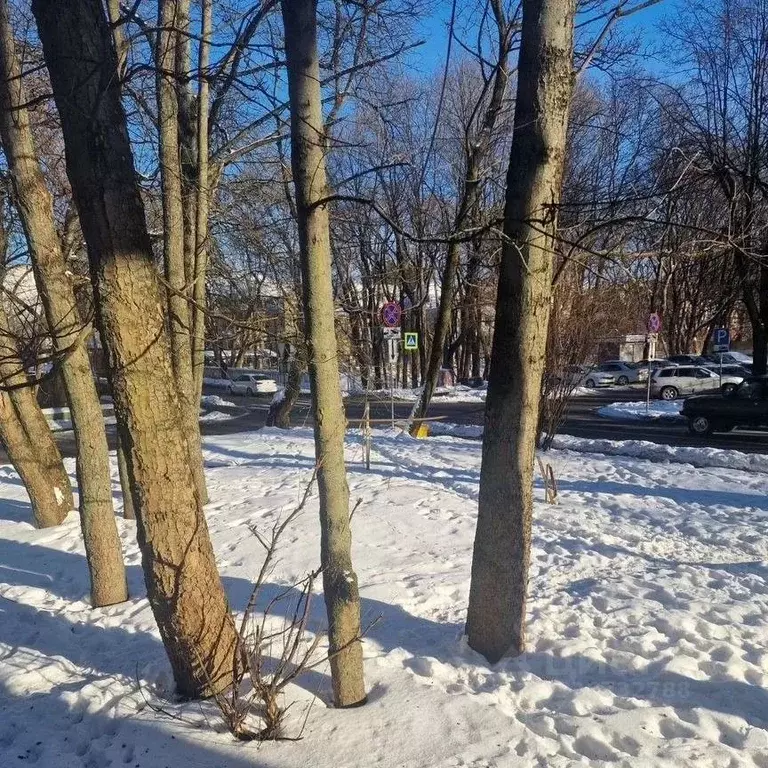 3-к кв. Калининградская область, Калининград ул. Брамса, 23 (82.6 м) - Фото 1