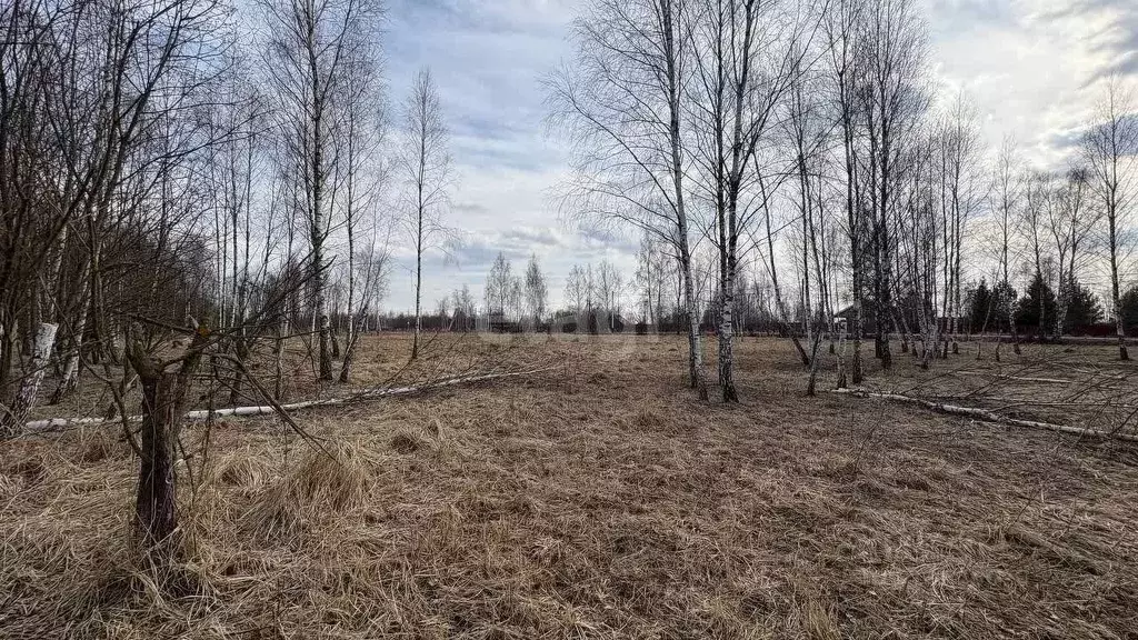 Участок в Московская область, Серпухов городской округ, д. Клейменово  ... - Фото 1