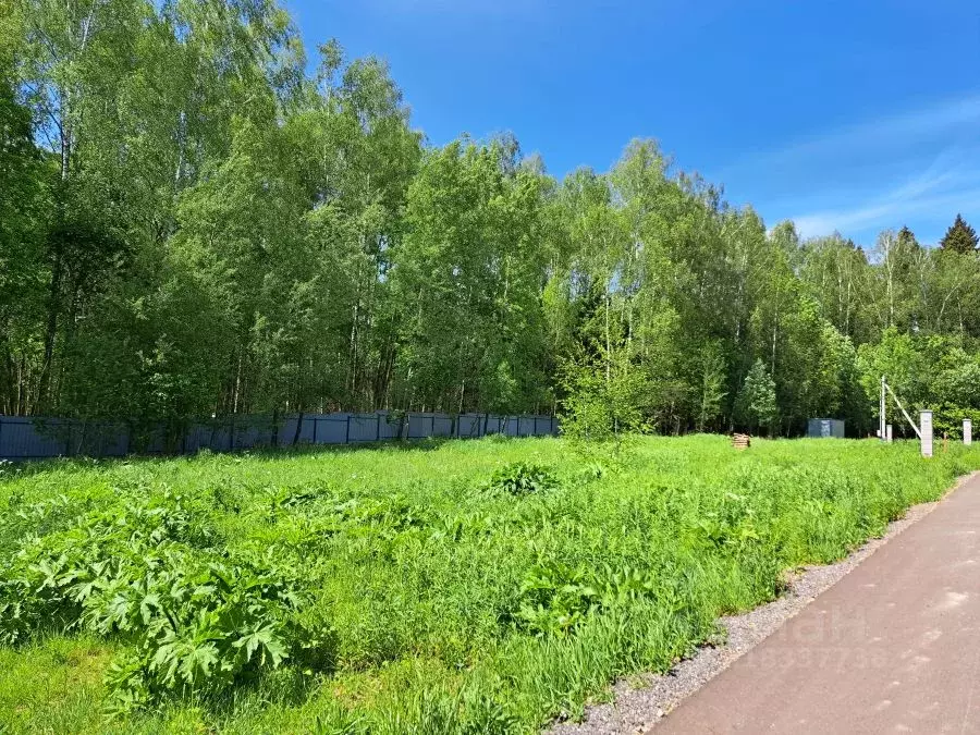 Участок в Московская область, Мытищи городской округ, с. Марфино ул. ... - Фото 1