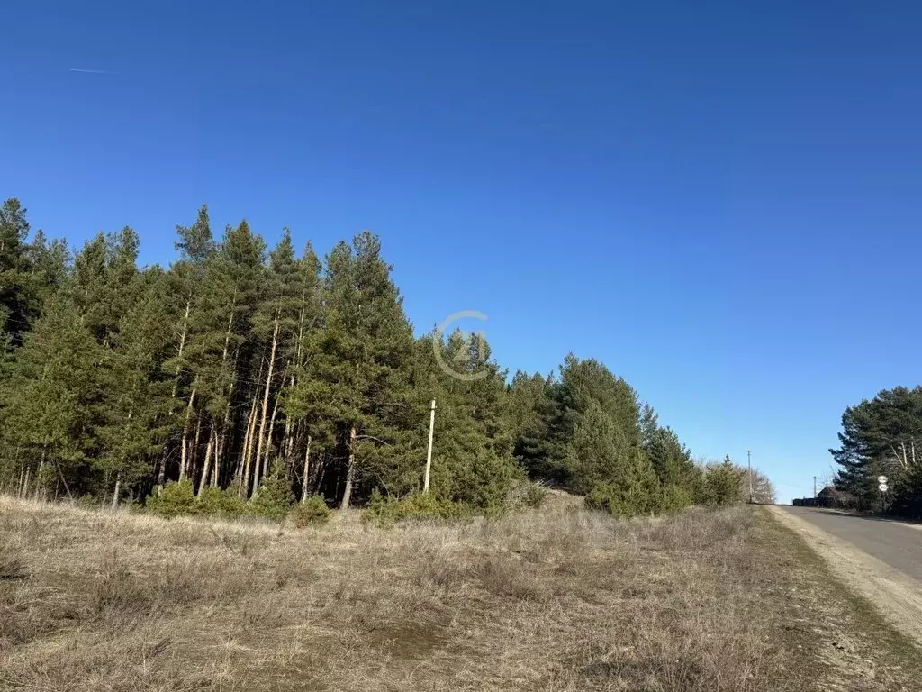 Участок в Тамбовская область, Знаменский муниципальный округ, с. ... - Фото 1