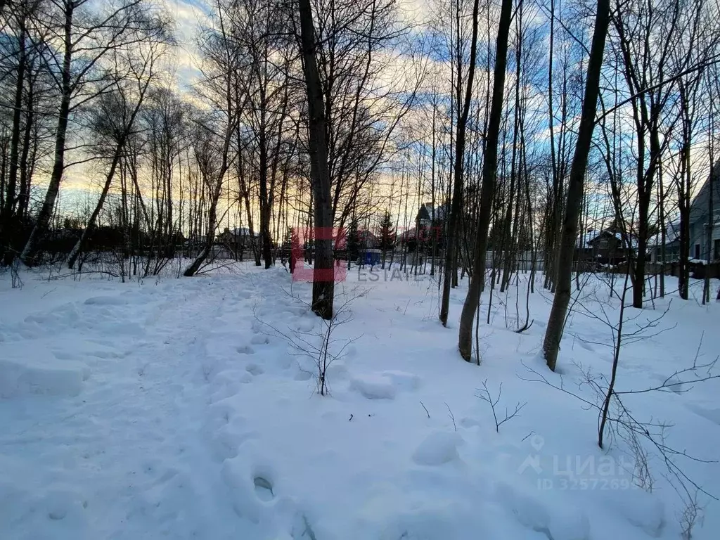 Участок в Московская область, Одинцовский городской округ, д. Бузаево ... - Фото 2