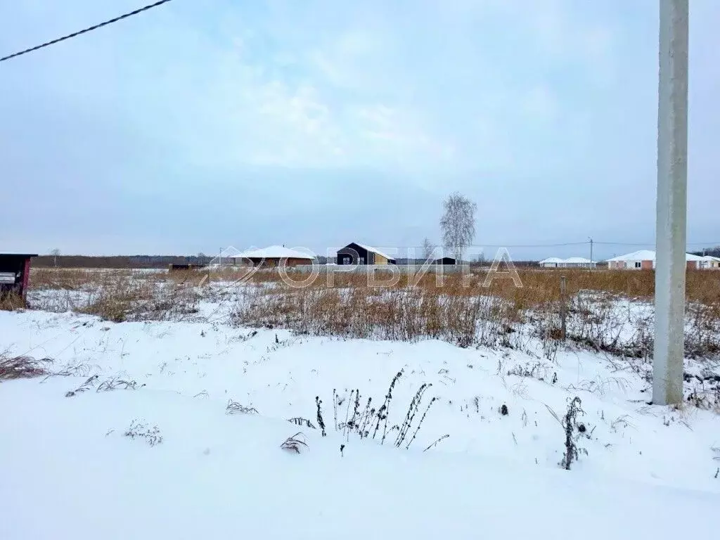 Участок в Тюменская область, Тюмень СОСН Березовое Озеро тер., ул. ... - Фото 1